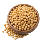 semilla-de-soya