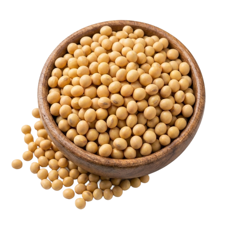 semilla-de-soya
